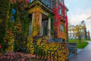 Syracuse campus building in the fall