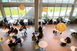 SFSU restaurant aerial view