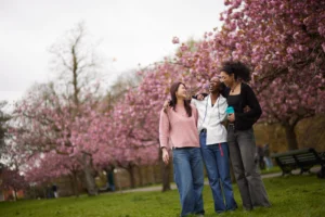 Students in the park